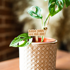 Babe just let me die